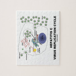 Virale replicatiecyclus van hepatitis C Legpuzzel