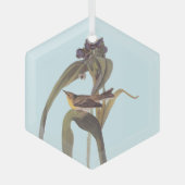 Vireo Songbird van Audubon Glas Ornament (Voorkant)