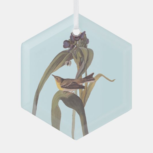 Vireo Songbird van Audubon Glas Ornament (Voorkant)