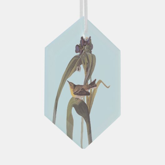 Vireo Songbird van Audubon Glas Ornament (Voorkant Rechts)