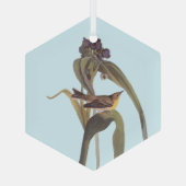 Vireo Songbird van Audubon Glas Ornament (Achterkant)
