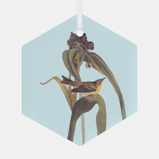 Vireo Songbird van Audubon Glas Ornament (Achterkant)