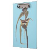 Vireo Songbird van Audubon Klembord (Links)