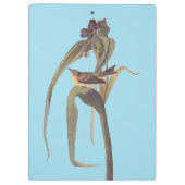 Vireo Songbird van Audubon Klembord (Achterkant)