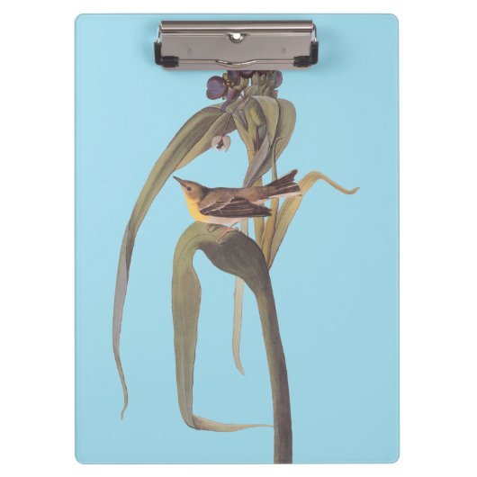 Vireo Songbird van Audubon Klembord (Voorkant)