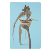 Vireo Songbird van Audubon Mini Klembord (Achterkant)