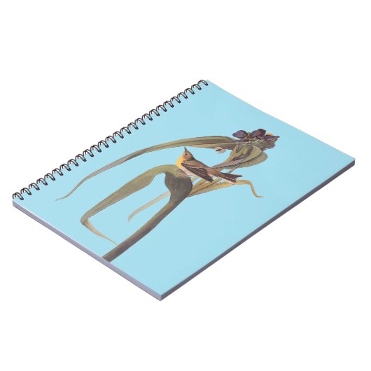 Vireo Songbird van Audubon Notitieboek (Linkerzijde)