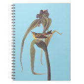 Vireo Songbird van Audubon Notitieboek (Voorkant)