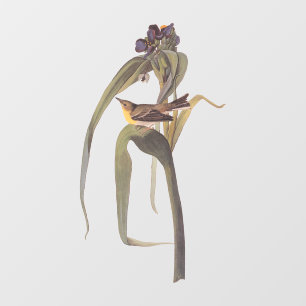 Vireo Songbird van Audubon Raamsticker
