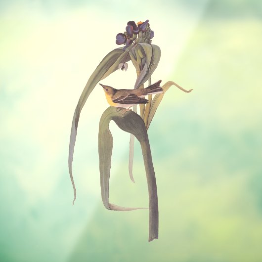 Vireo Songbird van Audubon Raamsticker (Vel 3)