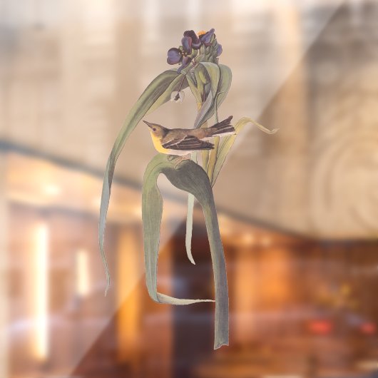 Vireo Songbird van Audubon Raamsticker (Vel 2)