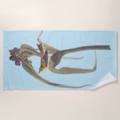 Vireo Songbird van Audubon Strandlaken (Voorkant)