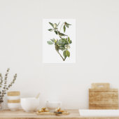 Vireo Warbling door Audubon Poster (Keuken)