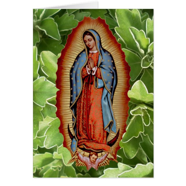 VIRGEN DE GUADALUPE COLECTION (Voorkant)