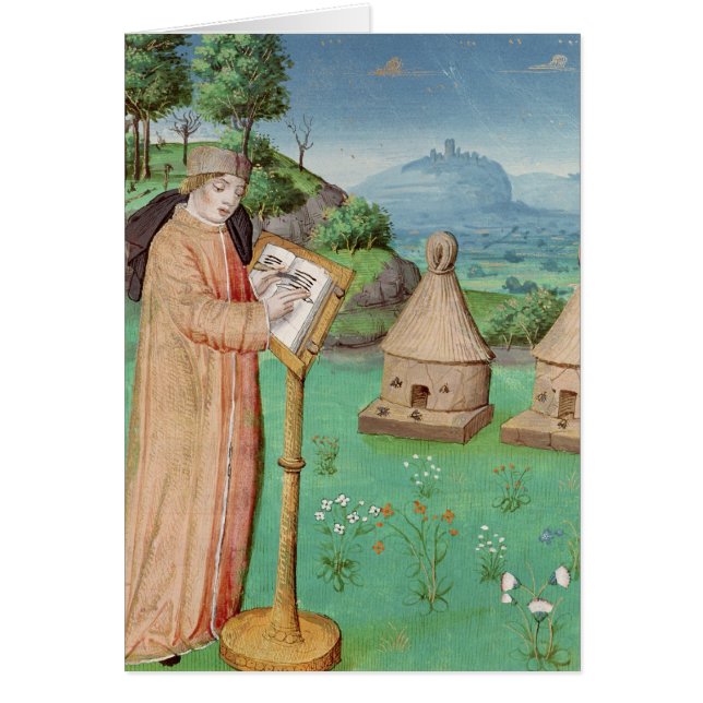 Virgil schrijft het leven van bijen (Voorkant)