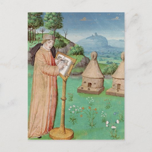 Virgil schrijft het leven van bijen briefkaart (Voorkant)