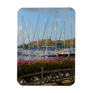 Virgin Gorda Jachthaven Magneet