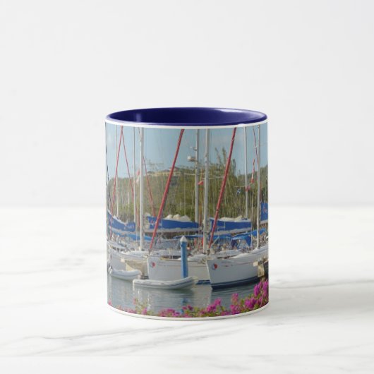 Virgin Gorda Yacht Harbour Mok (Midden)