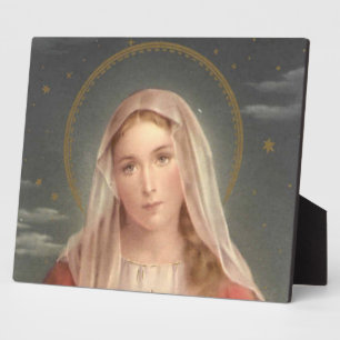 VIRGIN MARY FOTOPLAAT
