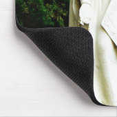 Virgin Mary Garden Statue Muismat (Hoek)