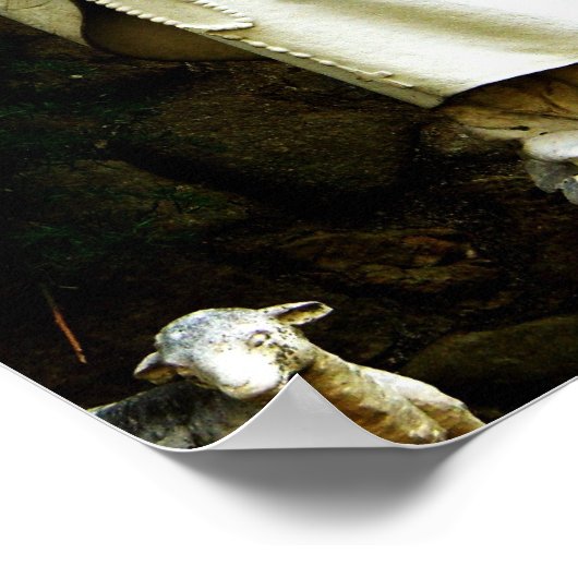 Virgin Mary Garden Statue Poster (Hoek)