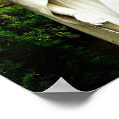 Virgin Mary Garden Statue Poster (Hoek)