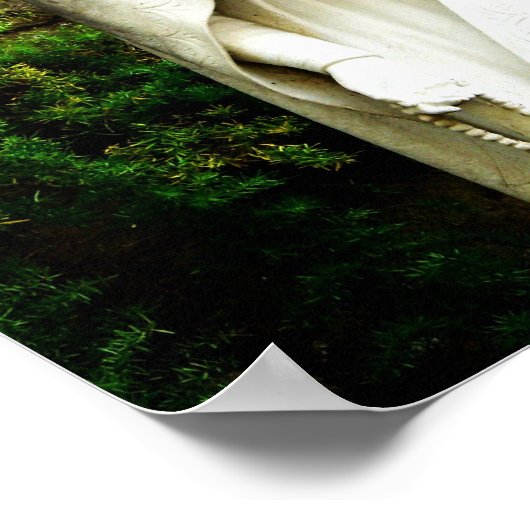 Virgin Mary Garden Statue Poster (Hoek)