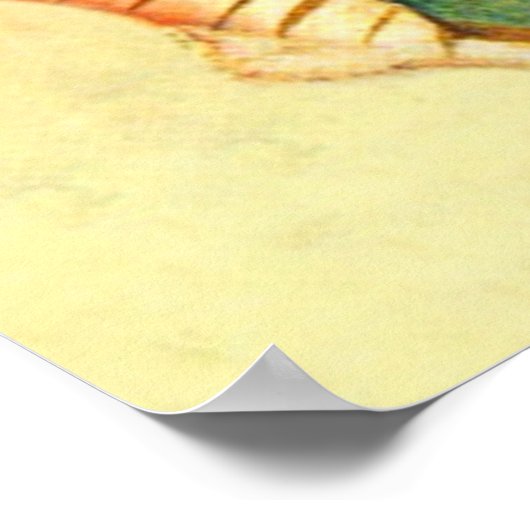 Virgin Mary Guadalupe Tilma Full Afbeelding Poster (Hoek)