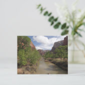 Virgin River in de lente in het Nationaal Park Zio Briefkaart (Staand voorkant)