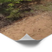 Virgin River in de lente in het Nationaal Park Zio Poster (Hoek)