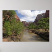 Virgin River in de lente in het Nationaal Park Zio Poster (Voorkant)