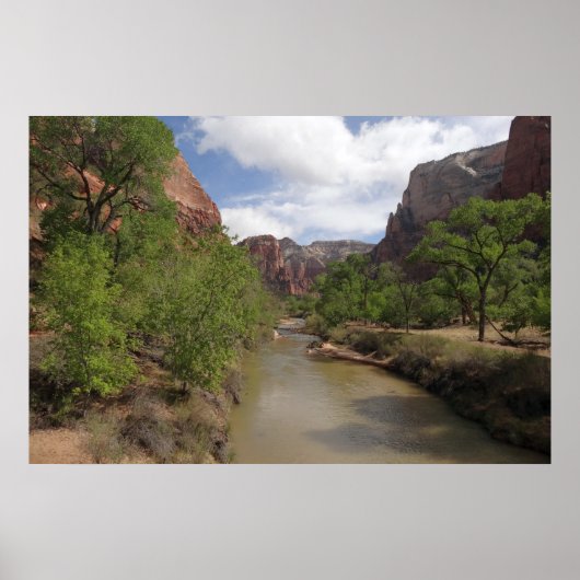 Virgin River in de lente in het Nationaal Park Zio Poster (Voorkant)