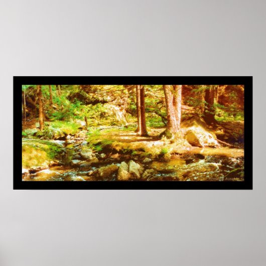 Virgin Whirl Poster (Voorkant)