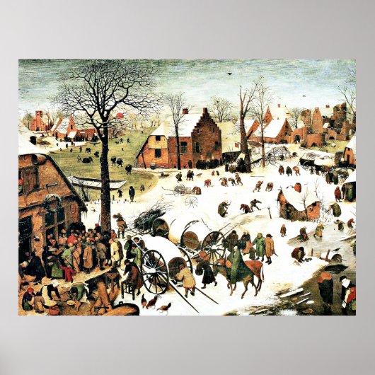 virginia5050 poster (Voorkant)