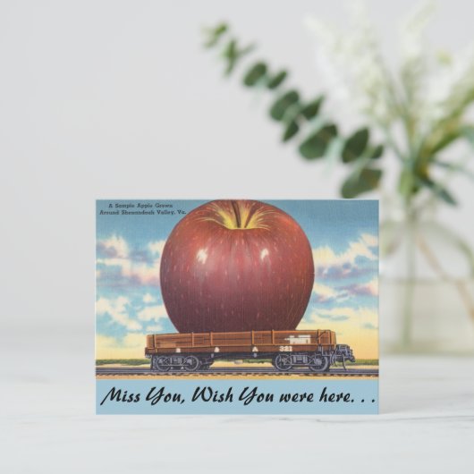 Virginia, Apple, Shenandoah Valley Briefkaart (Staand voorkant)