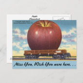 Virginia, Apple, Shenandoah Valley Briefkaart (Voorkant / Achterkant)