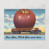 Virginia, Apple, Shenandoah Valley Briefkaart (Voorkant)