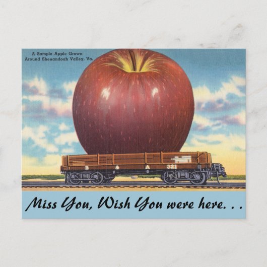 Virginia, Apple, Shenandoah Valley Briefkaart (Voorkant)