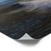 Virginia Beach Bell 407 Poster (Hoek)