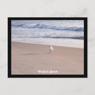 Virginia Beach Briefkaart