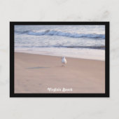 Virginia Beach Briefkaart (Voorkant)