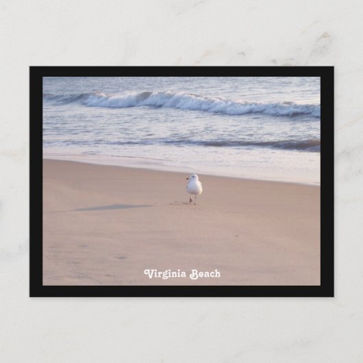 Virginia Beach Briefkaart (Voorkant)