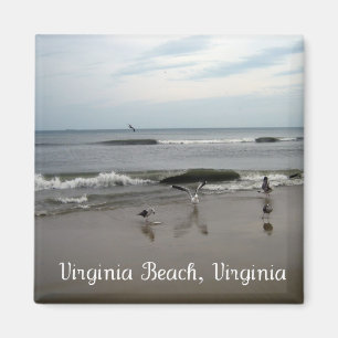 Virginia Beach, Virginia Magneet