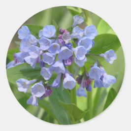 Virginia Bluebell (Mertensia virginica) sticker