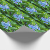 Virginia Bluebell Wrapping Paper Cadeaupapier (Hoek)