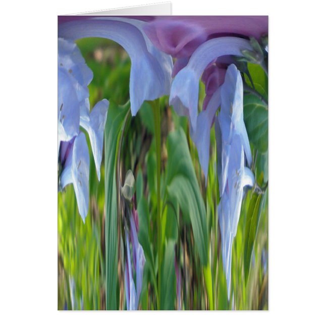 Virginia Bluebells Abstract (Voorkant)