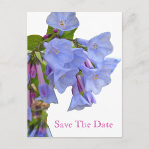 Virginia Bluebells Bewaar de datum Aankondigingskaart