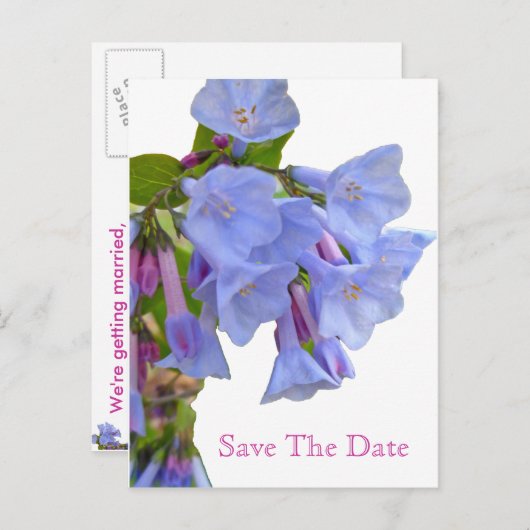 Virginia Bluebells Bewaar de datum Aankondigingskaart (Voorkant / Achterkant)