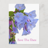 Virginia Bluebells Bewaar de datum Aankondigingskaart (Voorkant)