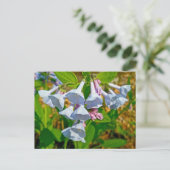 Virginia Bluebells Coordinated Items Briefkaart (Staand voorkant)